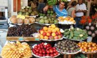 Best of Madeira 