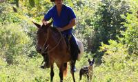 04_fr_vinales__23_.jpg