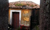 Best of Madeira 