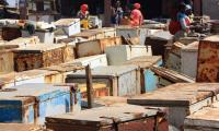09_fr_c_fischmarkt__215_.jpg