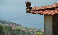 Best of Madeira 