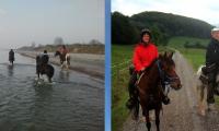 Reiten in Stenderup und in der Rhön 