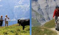 Wanderung im Wallis (mit Rollerabfahrt) 