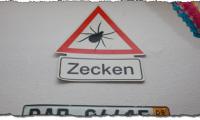 zecken.jpg