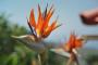 Best of: Madeira